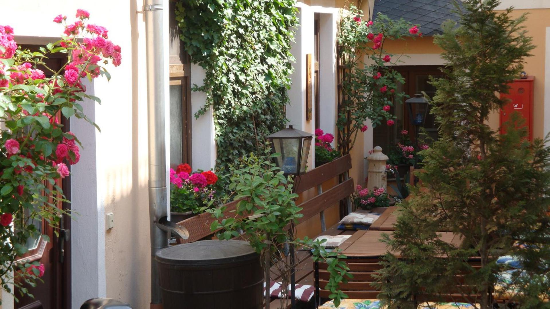 Saalfeld Saale Pension & Ferienwohnungen Toepferstueb'L מראה חיצוני תמונה